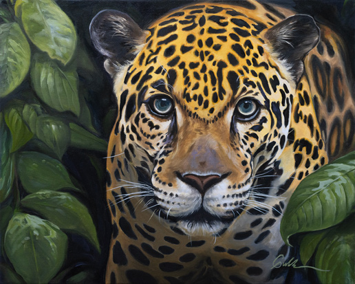 Rainforest Jaguar